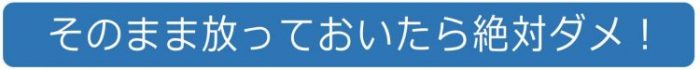 フロントガラスの飛び石ヒビは放っておいてはダメ　経験豊富な専門店でフロントガラスの修理をすることをお勧めします。