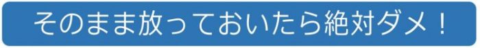 フロントガラスの飛び石ヒビは放っておいてはダメ